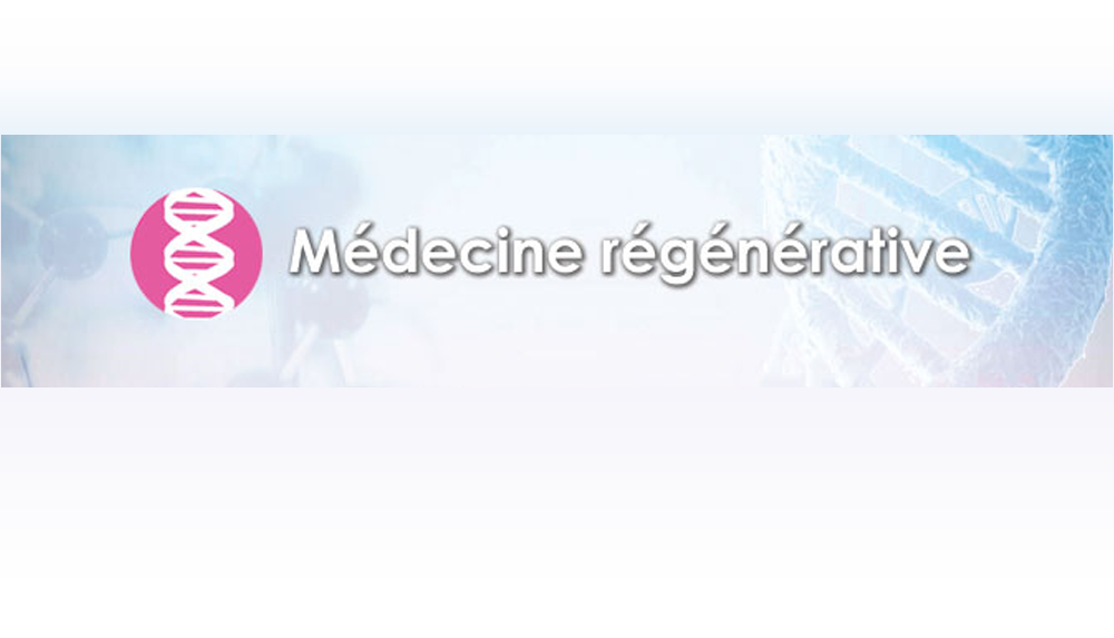 Qu’est ce que la médecine régénérative ? INSA